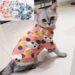 Sweet-Pet-Cat-Clothes-for-Cats-Winter-Cat-Costume-Katten-Gotas-Kedi-Hoodie-Sweater-Puppy-Clothing.jpg